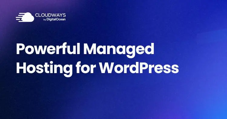 Cloudways hosting - Best for Advanced Bloggers